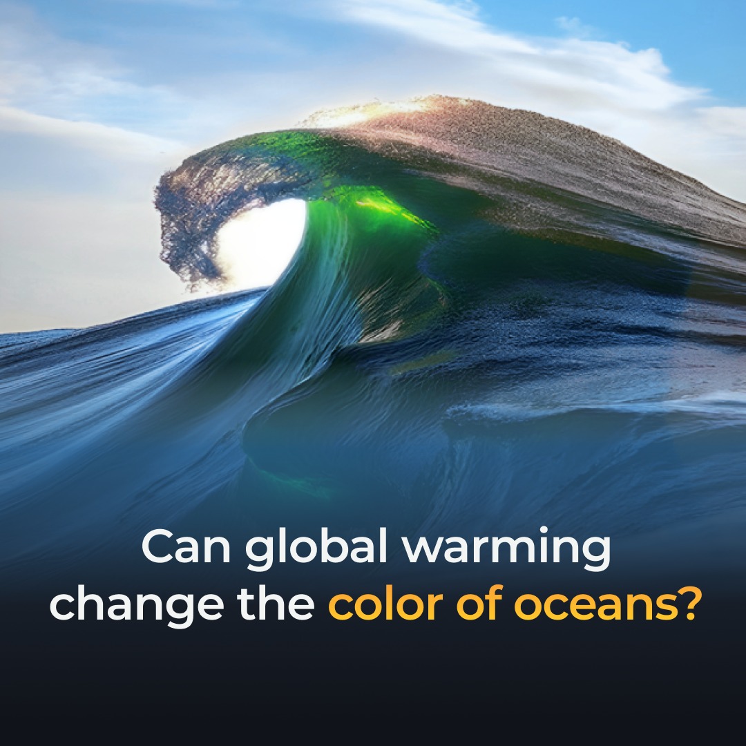 sunfuelelectric's tweet photo. Satellite data collected over 2 decades shows an altered hue in 56% of our oceans. Experts attribute this change of colour to the shift in Plankton Density &amp; Distribution caused by global warming.

Source: @NatGeo

#Sunfuel #environment #globalwarming #plankton #ocean https://t.co/yptf6sY77E