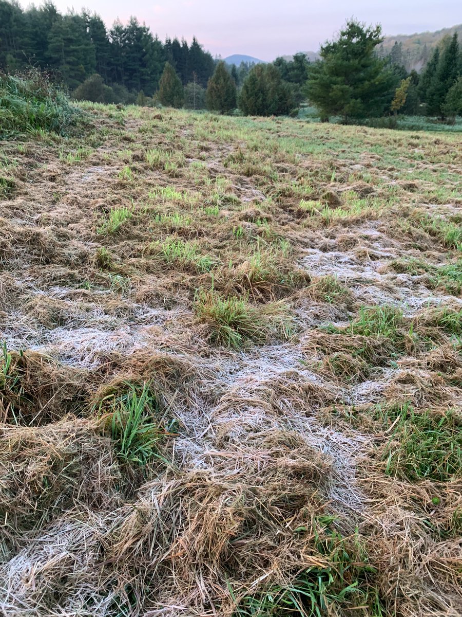 BVitale's tweet photo. @NWSBurlington Patchy frost 1 mi N Cabot this morning. https://t.co/yidmlvgd8u
