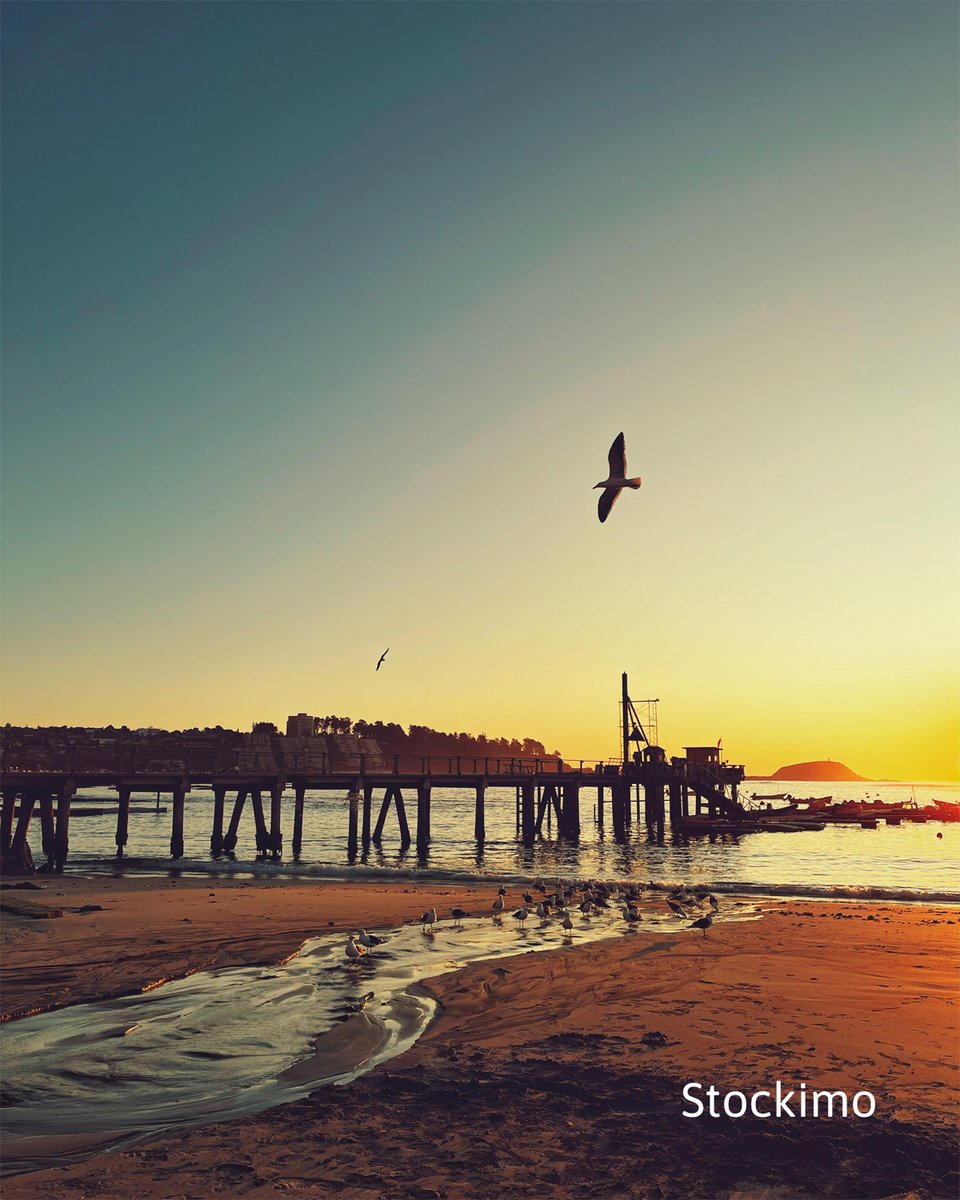 stockimo's tweet image. Soothing nature #Photography to get you through the day :)

On behalf of some of our favourite photographers that have joined us over the last few years!

Image ID: S474JT, S473C3 &amp;amp; S3WWT4 

#Stockimo #Calm #Nature