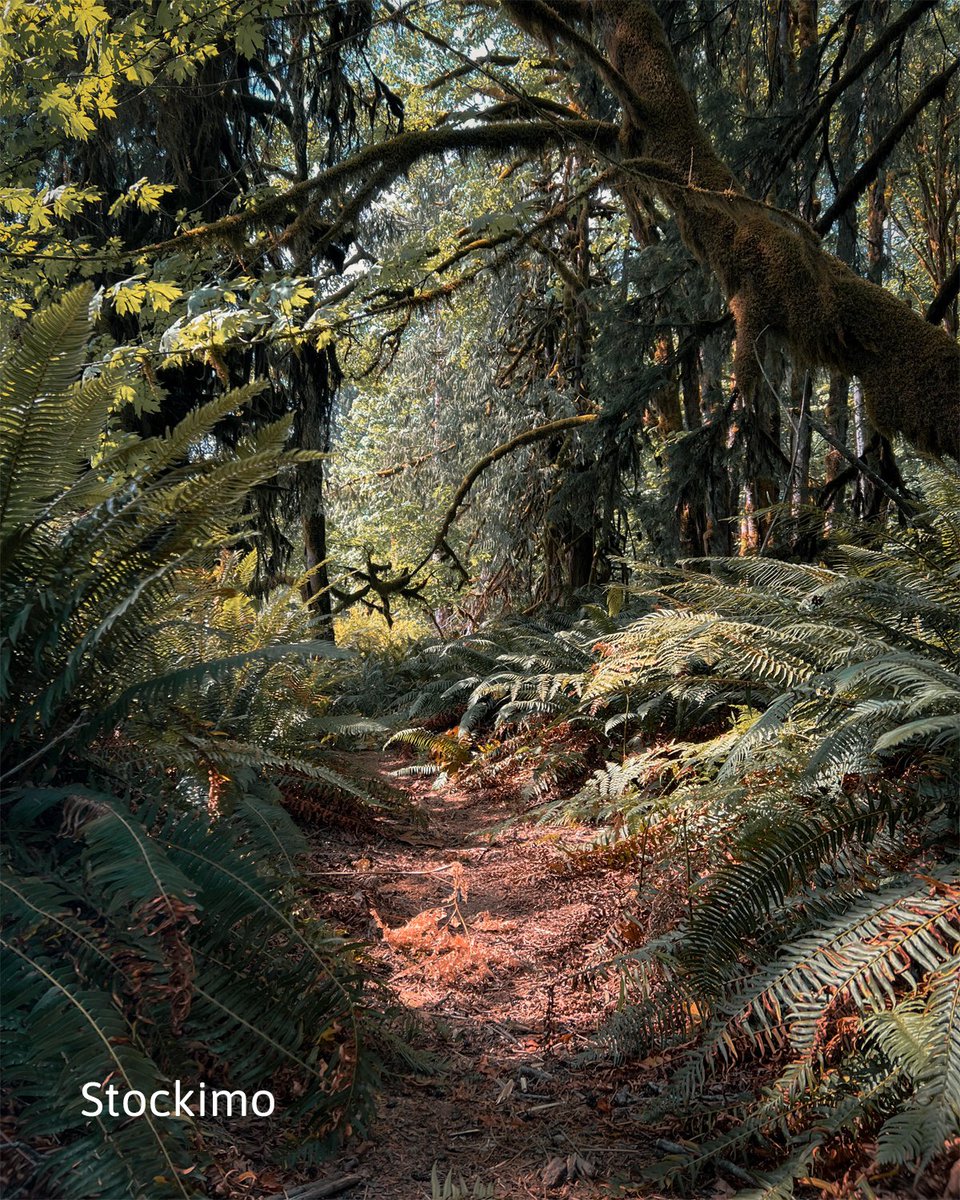 stockimo's tweet image. Soothing nature #Photography to get you through the day :)

On behalf of some of our favourite photographers that have joined us over the last few years!

Image ID: S474JT, S473C3 &amp;amp; S3WWT4 

#Stockimo #Calm #Nature