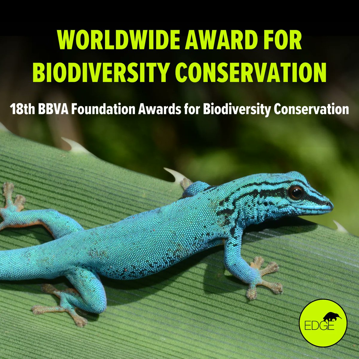 EDGE of Existence tweet media