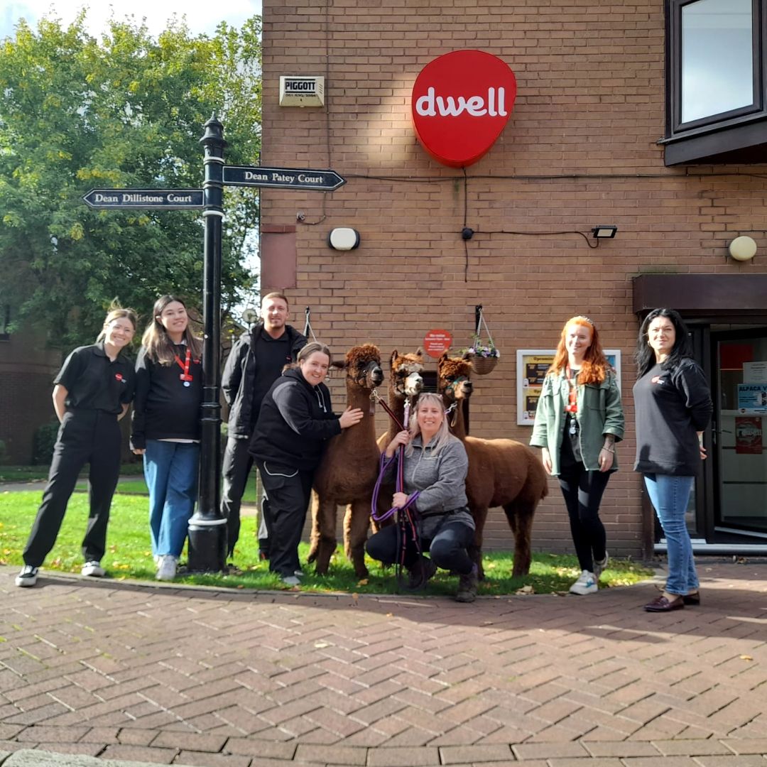 dwell Student Living tweet media