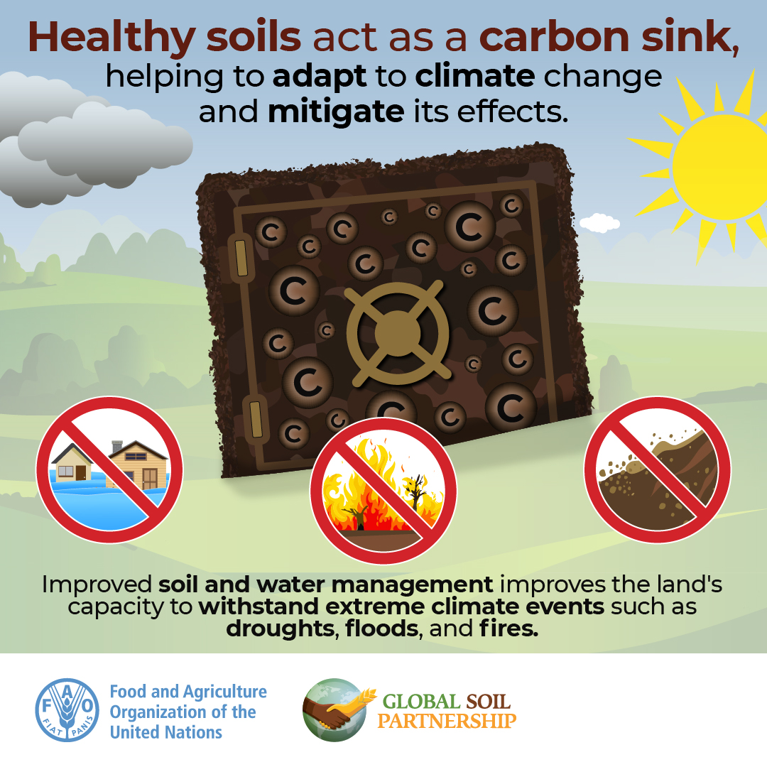 FAOLandWater's tweet photo. The next week symposium on #SoilandWater  is  the opportunity to discover how improved #Soil and
@Water management can impact the battle against climate change.   #WaterAction #SoilHealth #SoilAction

Register 👉🏿 https://t.co/nbYTc3cC9O
Website 👉🏿 https://t.co/aWdtBoJosj https://t.co/OpaAfrkfb0