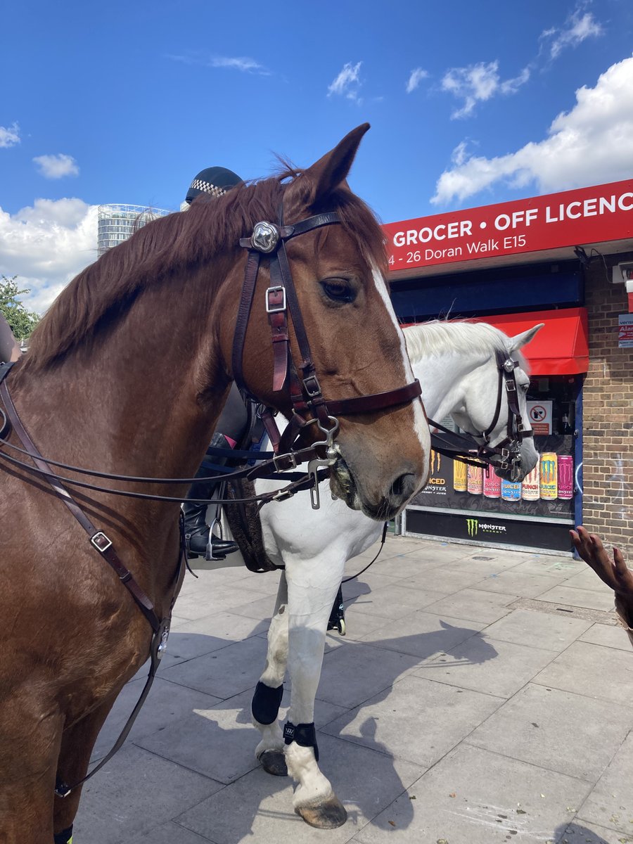 Last summer, we had a chance meeting with some police horses on #CarpentersEstate, which was a lovely Wednesday afternoon surprise. The kids were really excited to feed the horses some carrots and apples from the community garden, and we're sure the horses enjoyed it too!
