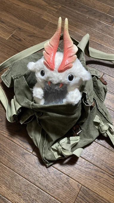 オナカドリをカバンに入れて撮影にちょっと外出てたけど、カバンの中に生き物くらいのものが入ってるとか、そういうものが入ってても周りにはわかんないこととか、なんか色々楽しかった。カバンは軍放出品のガスマスク入れ 