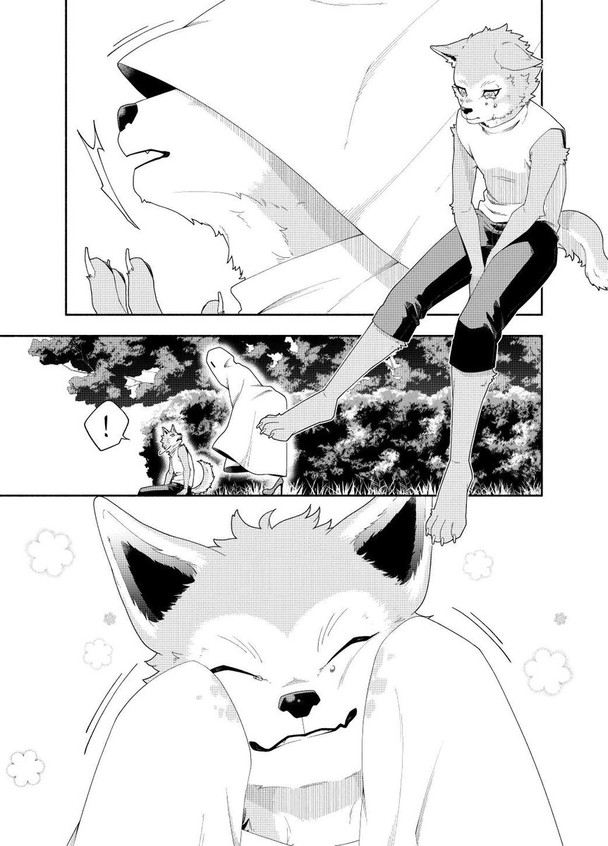 ケモ 