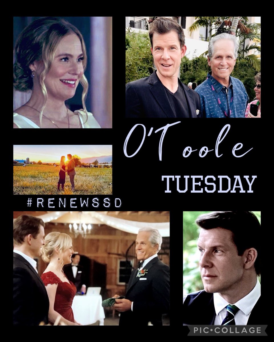 Happy O’Toole Tuesday!💫

“There is a vast difference between choosing a good [show] and finding the right [show]…don’t give up until you find both…”😉

#POstables have found both…

A remarkable show unlike any other, please 🙏🏼 #RenewSSD now! #LisaHamiltonDaly <a href="/ElizabethYostHC/">Elizabeth Yost</a>