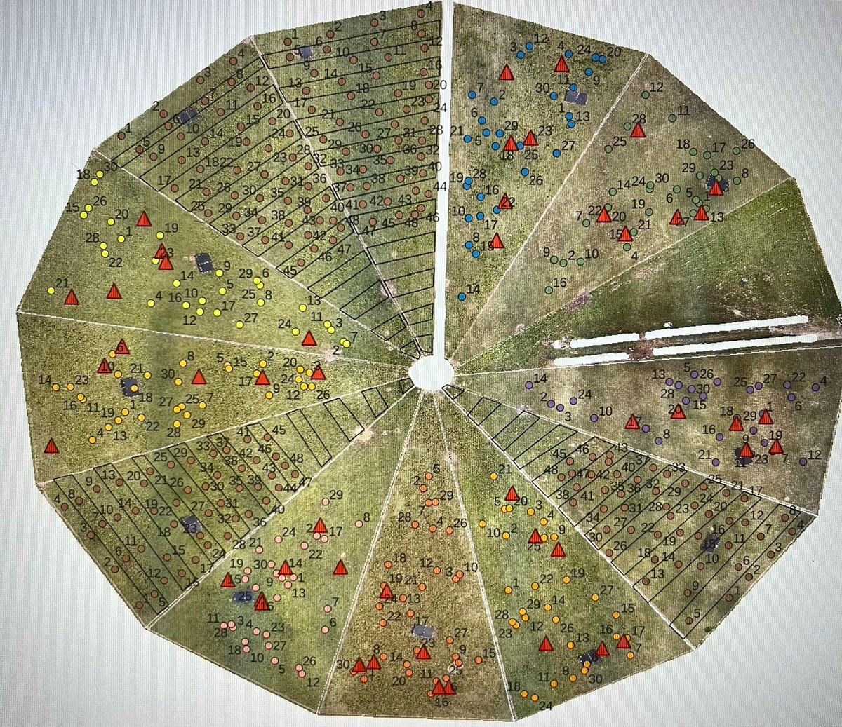 José Dubeux (@dubeux) on Twitter photo Soil sampling map to assess soil organic carbon in our Corteva trial. Thanks to Dr. Igor Brêtas and the Forage Team in Marianna for working together to get this huge task accomplished. <a href="/UF_IFAS/">UF IFAS Solutions</a> <a href="/UFIFASAgronomy/">Agronomy at UF</a> <a href="/ufifasnfrec/">UF IFAS NFREC</a> Soil sampling map to assess soil organic carbon in our Corteva trial. Thanks to Dr. Igor Brêtas and the Forage Team in Marianna for working together to get this huge task accomplished. <a href="/UF_IFAS/">UF IFAS Solutions</a> <a href="/UFIFASAgronomy/">Agronomy at UF</a> <a href="/ufifasnfrec/">UF IFAS NFREC</a>