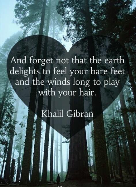 #FiveElements #Earth #Wind #KahlilGibran