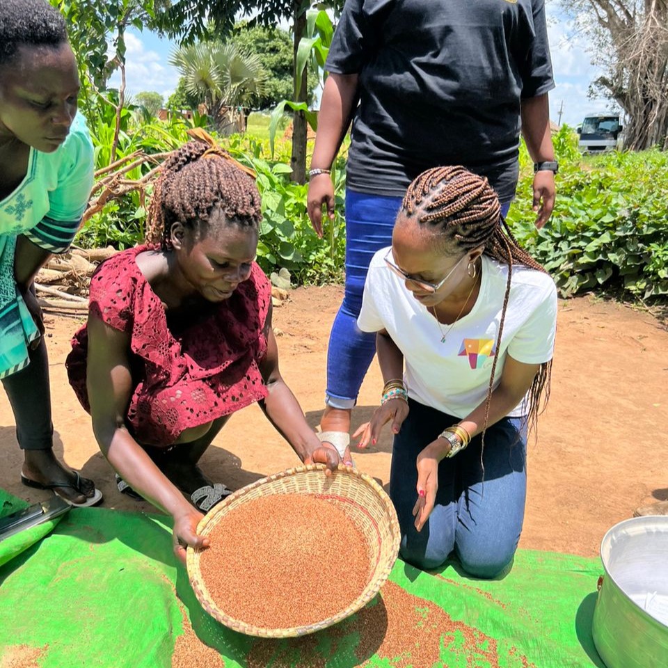EyeOpenerWorks's tweet photo. Awesome #communitytourism initiatives coming your way! 2-week bootcamp for 24 providers from LakeMburoNP🦓MurchisonFallsNP🐘KidepoValleyNP🐃to professionalize products &amp; conserve landscapes.@karatungatours @USAIDUganda @RTI_Intl  #ExploreUganda #sustainabletourism #activelearning https://t.co/89d5zTeAtO