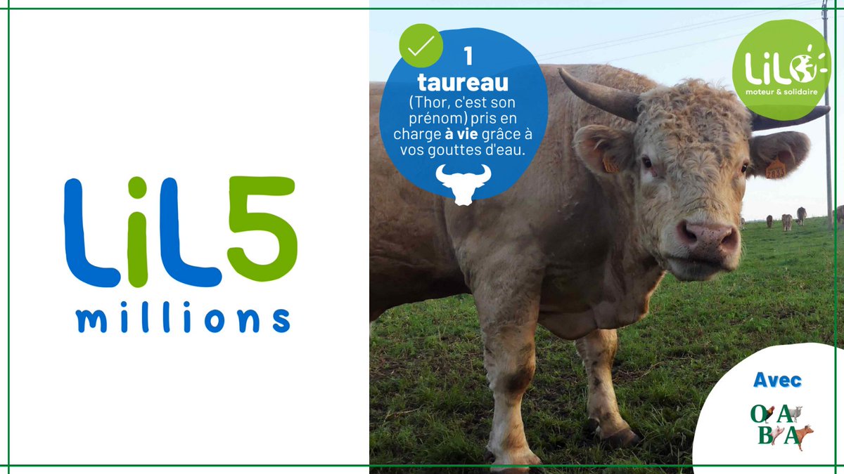 💧 Cette façon simple et gratuite de nous soutenir a déjà financé la prise en charge à vie d'1 bœuf par l'OABA (soit + de 15000€).
Vous aussi, rejoignez le mouvement ! 👍
#5MillionsDeurosLilo @Lilo__org #Lilo #moteurderecherche
oaba.fr/5-millions-eur…