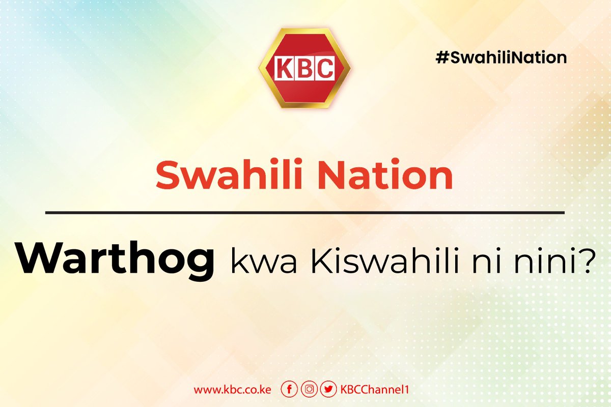 KBC Channel 1 News tweet media