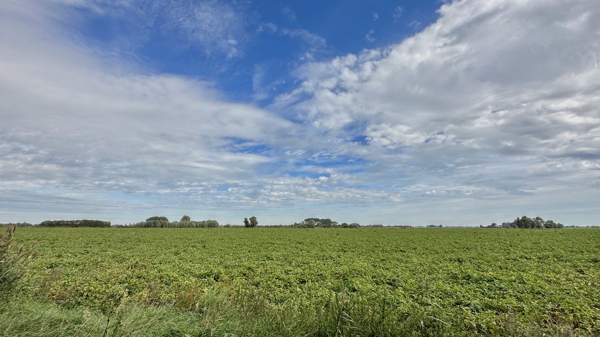 MWezemael's tweet photo. ⁦@HetweerinBelgie⁩ ⁦@meteobenl⁩ ⁦@MeteovistaBe⁩ ⁦@MeteoWard⁩ ⁦@Weerbord⁩ #weerfoto #Moerbeke #vrtweer https://t.co/cKw4QxkoV3