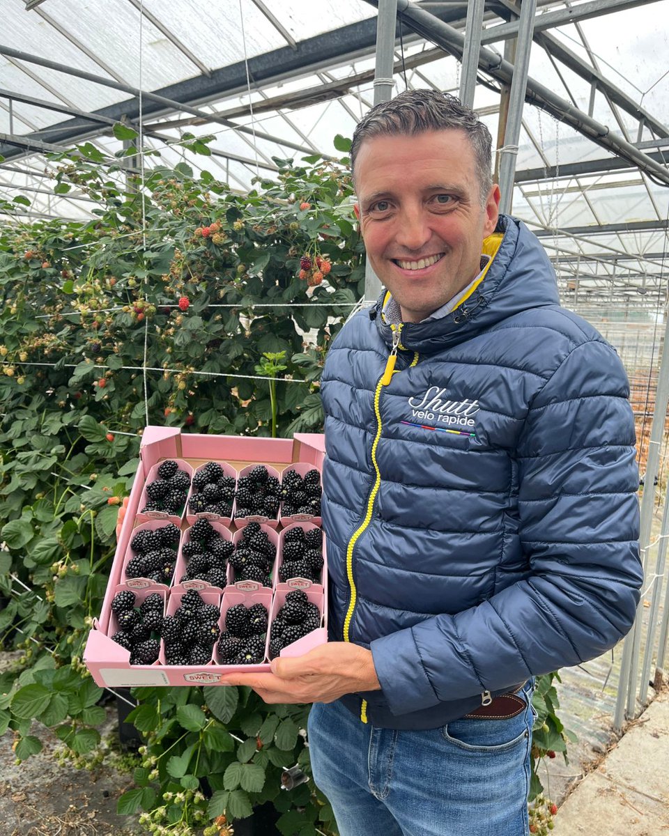 globalplantgen's tweet photo. You may have seen our update in August, looking at Von in action in The Netherlands… The first visit was such a success, with The Greenery, we visited again, last week to see the latest from the various Von crops...

Thank you to all those involved in another successful trip. https://t.co/ZuSqxZibAE