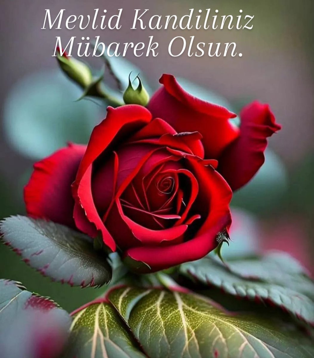 setabollyhp's tweet photo. #MevlidKandili

Alemlere rahmet olarak gönderilen Sevgili Peygamberimiz Hz. Muhammed Mustafa (s.a.v)’in dünyaya teşrif ettiği Mevlid Kandili’miz mübarek olsun…

Rabbim bizlere ve tüm İslam alemine huzur, bereket ve bolluk nasip eylesin...🤲 https://t.co/IxHkdNtaOp