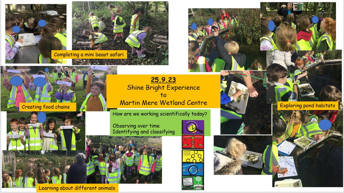 StrettonStMatts's tweet photo. We had an absolutely FANTASTIC time at
@WWTMartinMere
for our #SSMShineBright experience for science! We explored pond habitats and went on a minibeast safari through the forest!🌳📷#SSM #SSMYear2 #SSMScience https://t.co/TM6v5YmZcS