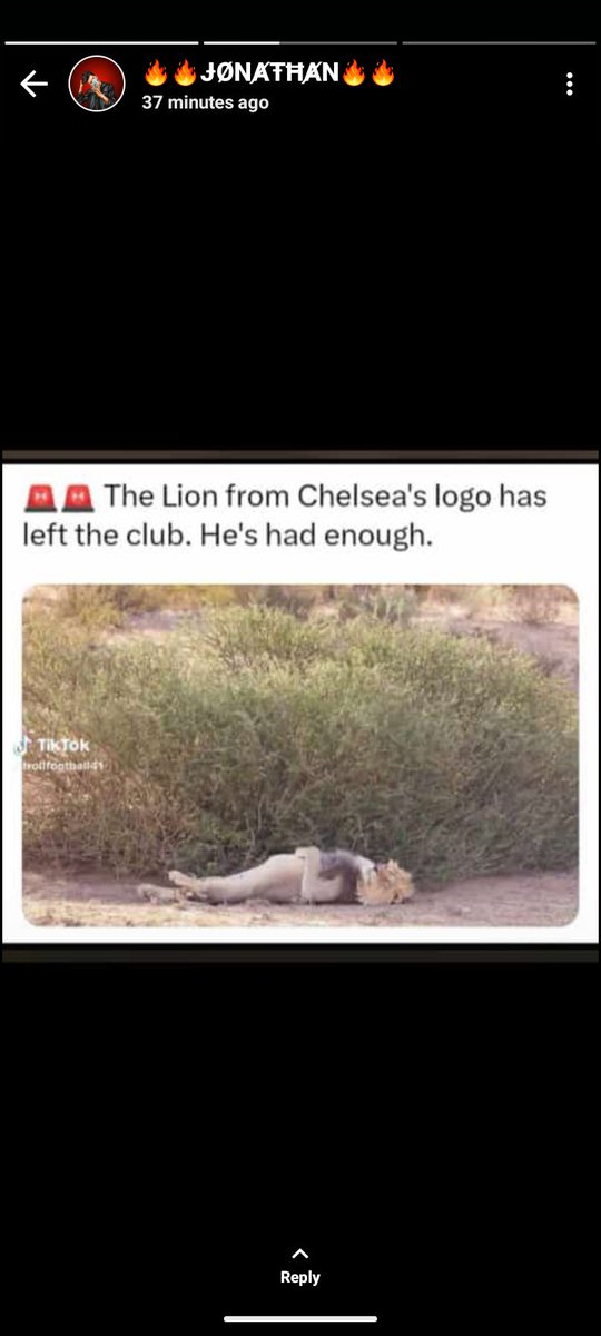 Kom_reid's tweet photo. Memes😂
#memes #memesd #memesdaily https://t.co/PLnOll90l0