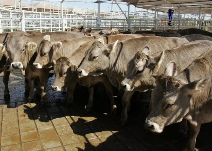 EInvestidor's tweet photo. 📊🥩Marfrig (#MRFG3) passa a deter ações de emissão da BRF (#BRFS3) para incrementar posição acionária.
#commidities
https://t.co/QqaljUpNhW https://t.co/rF0xYLtjG0