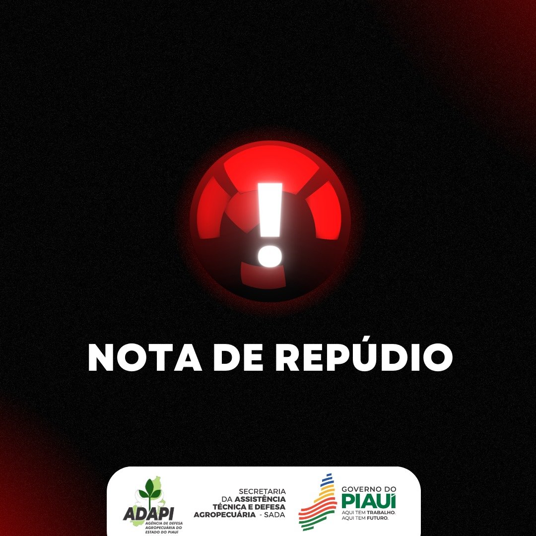 adapi_pi's tweet image. instagram.com/p/Cxn1F4vrT6U/…