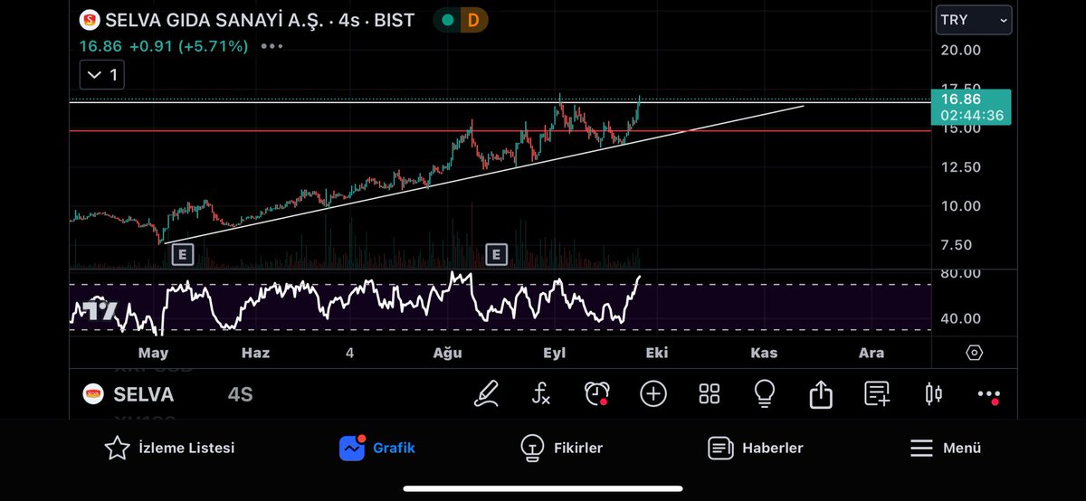 cryptobates1's tweet photo. #selva ayın 12 sinde vermiştim verdiğimde fiyatı 14₺ idi. Verdiğim hedefe 2 hafta da da geldi şuan 17₺. Değerlendirenleri tebrik ederim beraber kazanmaya devam takip edelim. 
#adgyo #brsan #reedr #doas #eregl #froto #toaso #thyao #tarkm #enery #eupwr #izenr #pgsus #kopol #yeotk https://t.co/FiRDZ2LCIm