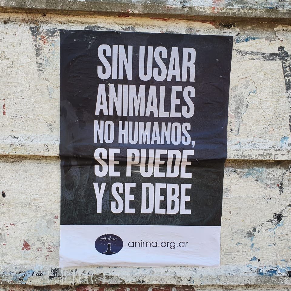 Hace siglos sabemos que sienten.
#veganismo
#antiespecismo
#personaanimal