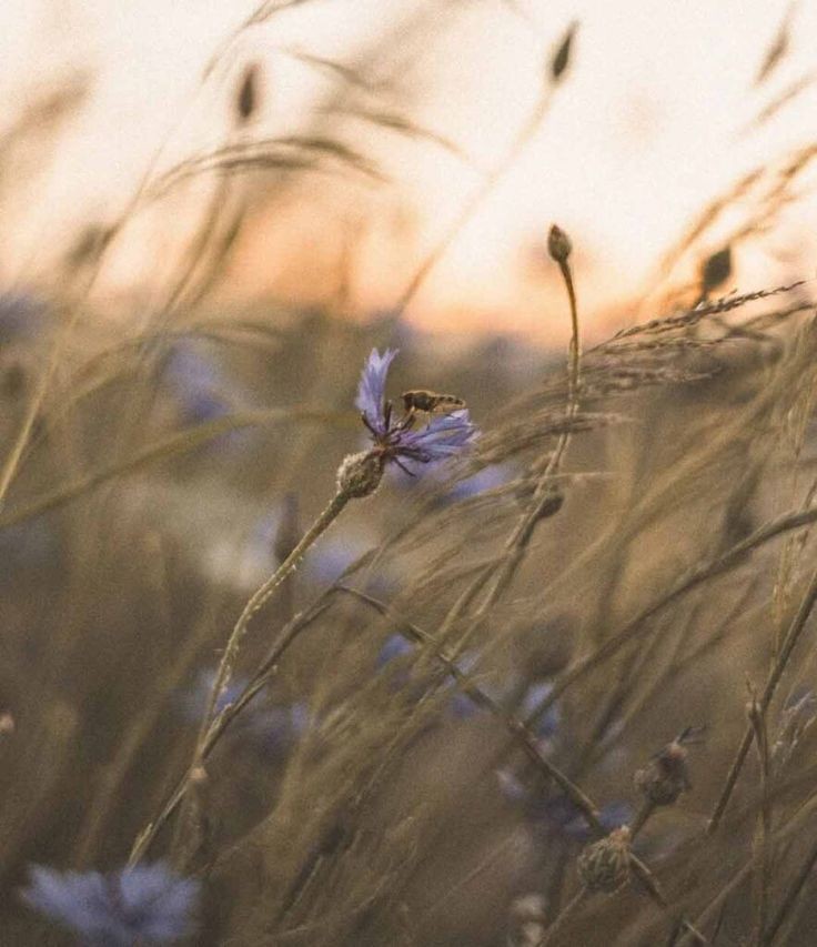 내가 나를
포기하는 순간

나약하고
쓸모없는 존재가 되지만

내가 나를
일으키는 순간

강하고
특별한 존재가 됩니다

자신을
끝 까지 포기하지 말아요.🖌

-지나간다 다지나간다1.2-