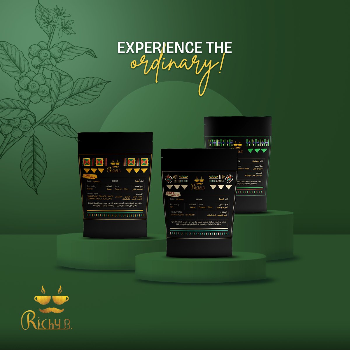 Embrace the Extraordinary, Taste the Exceptional with #Richy ☕️✨

#Richy #Richy_B #coffeeaddict #coffeelover #specialty_coffee #coffeebrew