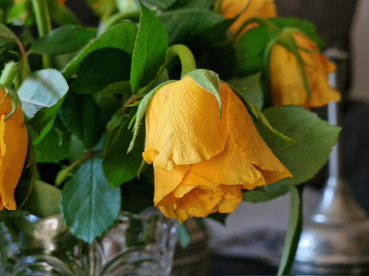 Hendrik Krumbein tweet media