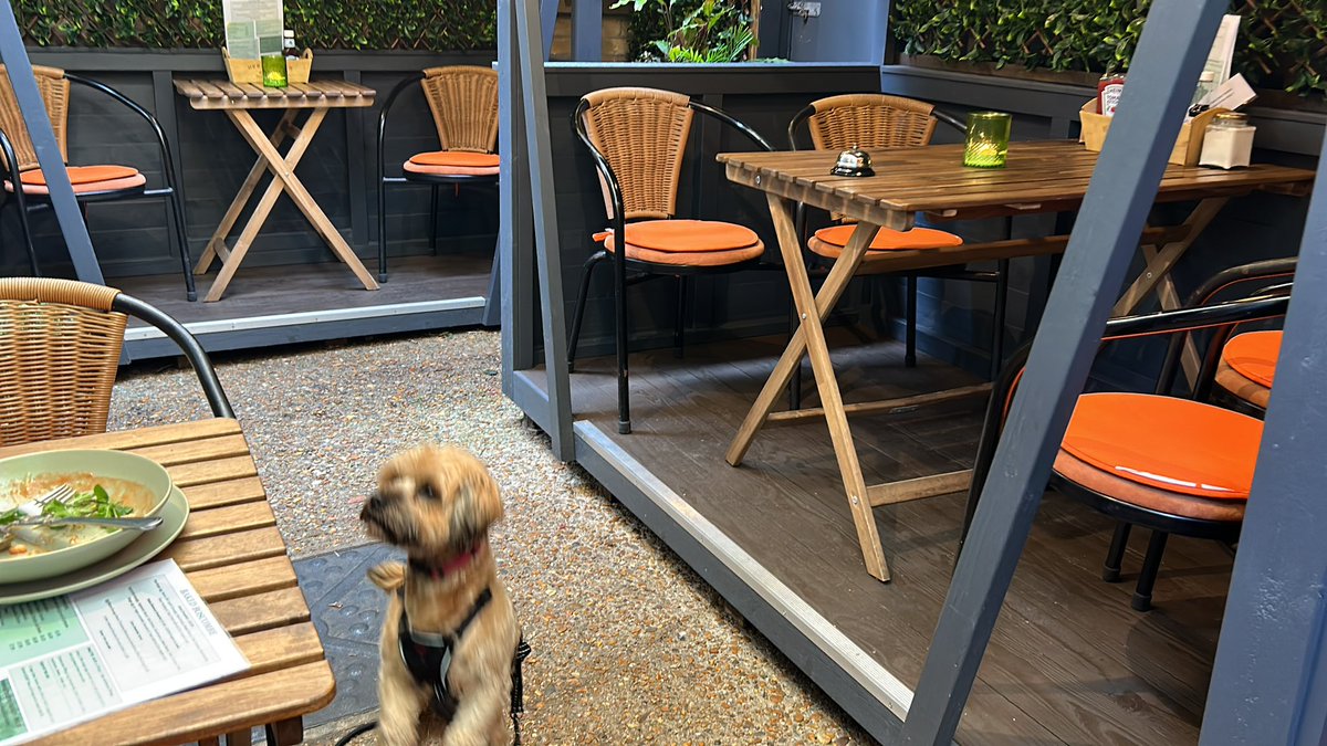 Discovered a great place for lunch- Baked Boscome. On #dogtowork
In #betterboscombe - small independent retailers  are the only option for the future of our town centres
