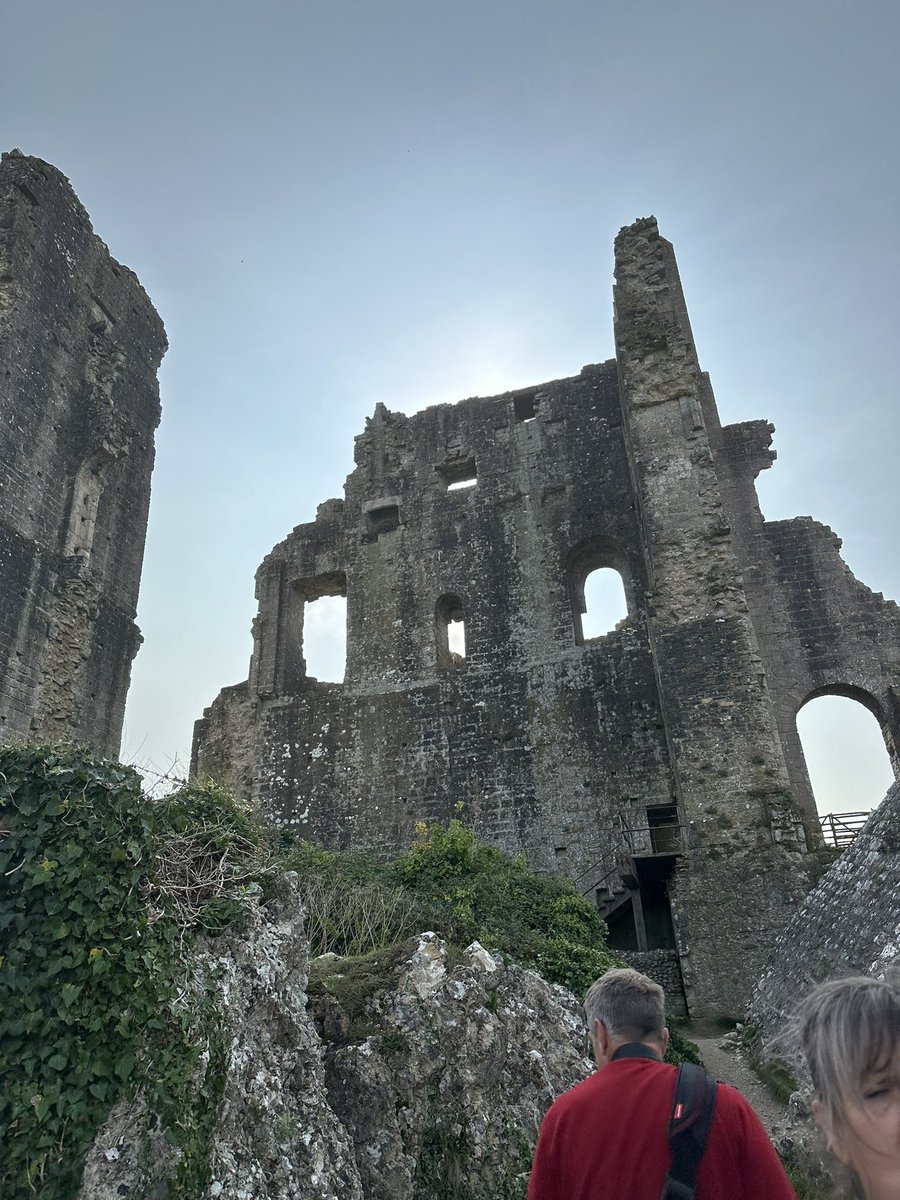 Beef Broth Hudson tweet media