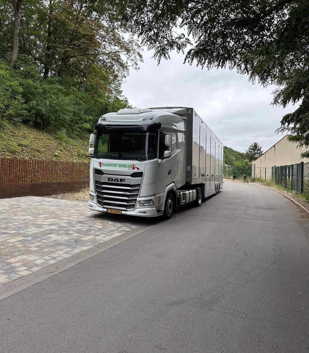 HansDampf tweet media