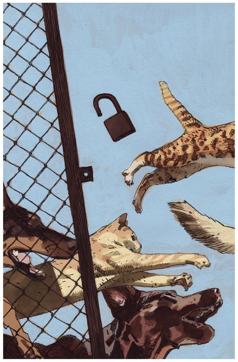 ANIMAL POUND #1 Variant cover (ink+acrylic gouache)
BOOM! Studios
Book by Tom King, Peter Gross & Tamra Bonvillain