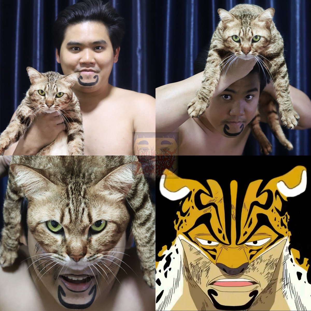 LOWCOSTCOSPLAY's tweet photo. Rob Lucci

#Lowcostcosplay #Roblucci #Onepiece #manga #cat #cosplay #art https://t.co/MszHFyCD6w