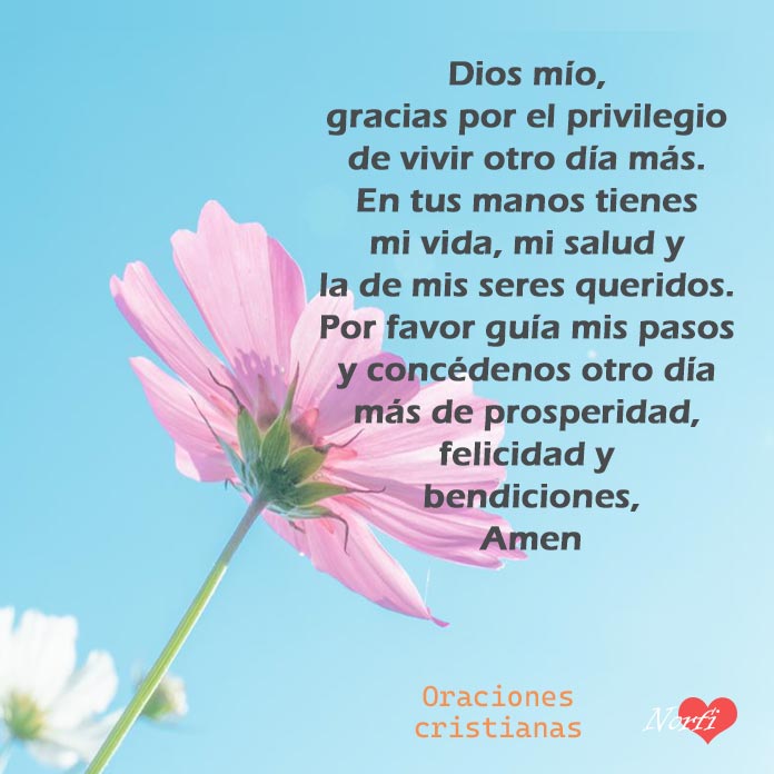 ✝Dios mío, gracias por el privilegio de vivir otro día más. En tus manos tienes mi vida, mi salud y la de mis seres queridos. Por favor guía nuestros pasos y concédenos otro día de prosperidad, felicidad y bendiciones.
norfipc.com/mensajes-crist…
#oración
#oracioncristiana