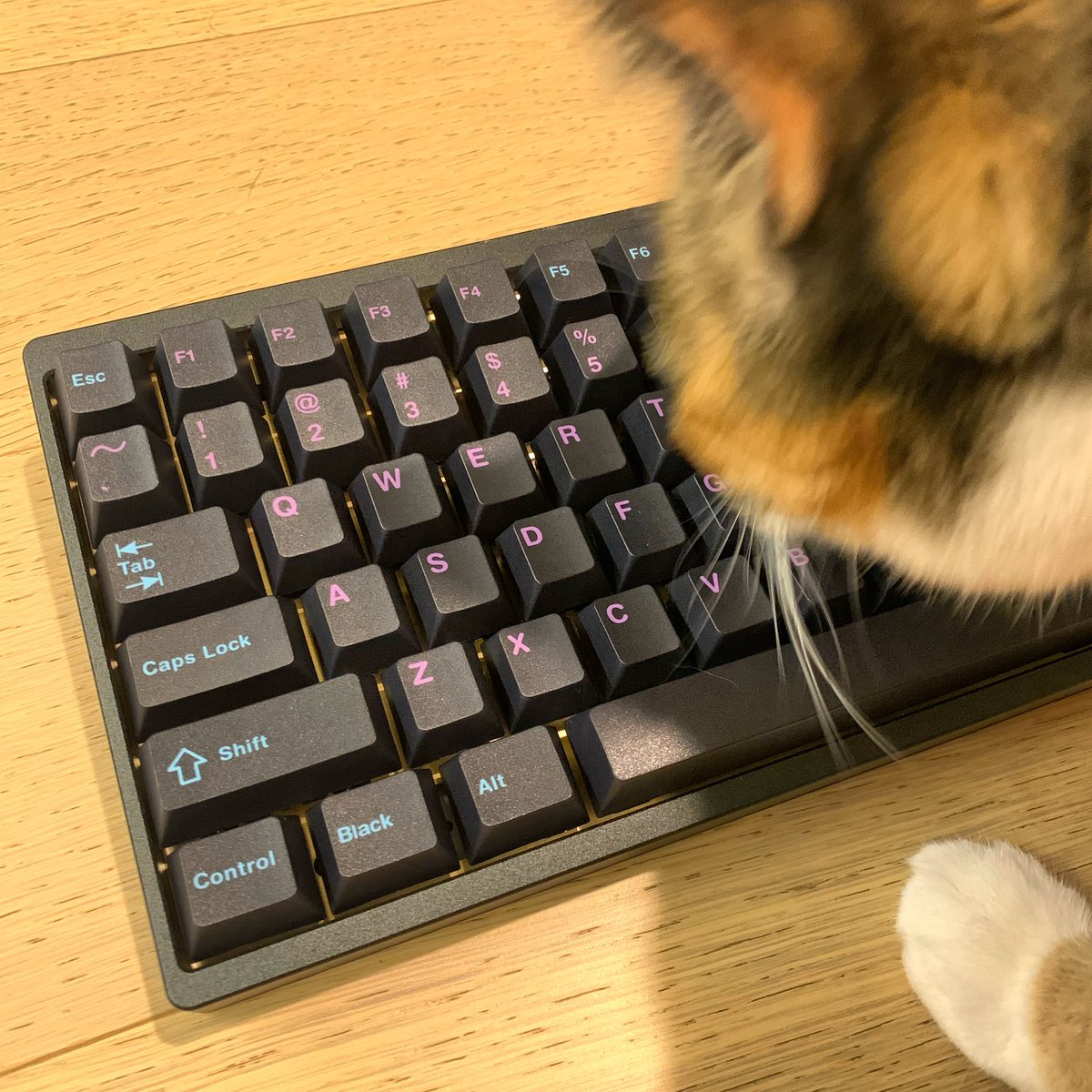 Been a while since I built a mechanical keyboard, but finally completed a very, very late birthday gift. Used KBD75v2 from <a href="/KBDfans/">KBDfans</a> with linear switches from <a href="/MekaniskCo/">Mekanisk Keyboards</a>.