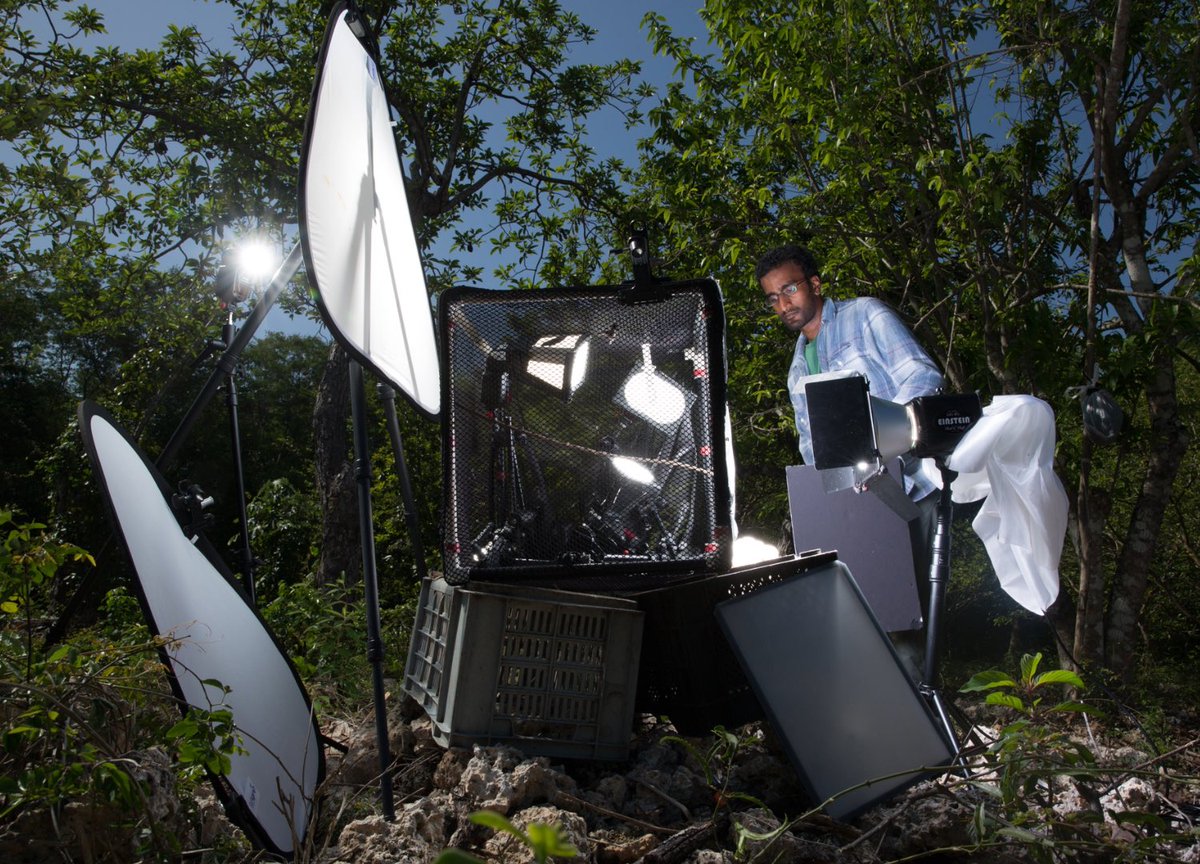 Changemaker Talent tweet media