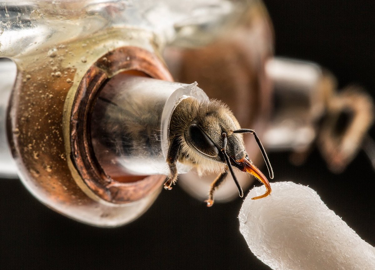 Changemaker Talent tweet media