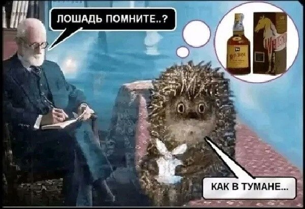 PantinDima's tweet photo. https://t.co/eQPPeYFgxR