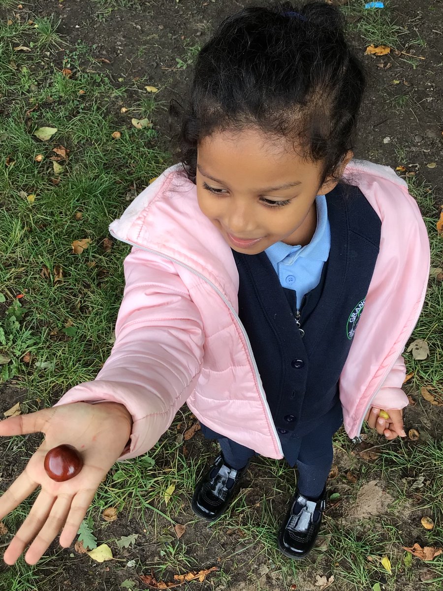 Year1_GV's tweet photo. This afternoon we went on an Autumn walk to spot the early signs of Autumn. We then made a mood board including Autumn objects that we collected and added words such as conker, acorn, husk, brown, orange etc. to describe our Autumn collections! 🍂
#year1 #stan #wehavethePOWER https://t.co/HlpLEwSpFC