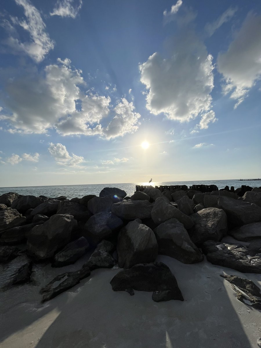 coachboruch's tweet image. Another productive #FLIBS quarterly meeting &amp;amp; @AVID4College extension in St. Pete Beach this past weekend - Motivated &amp;amp; ready to implement what I&apos;ve learned! 💪 #IBforall #MissionPossible #ProfessionalDevelopment @iborganization @IBinPBCSD @IB_DP @ib_c_p @ibmyp @MichaelAronson2