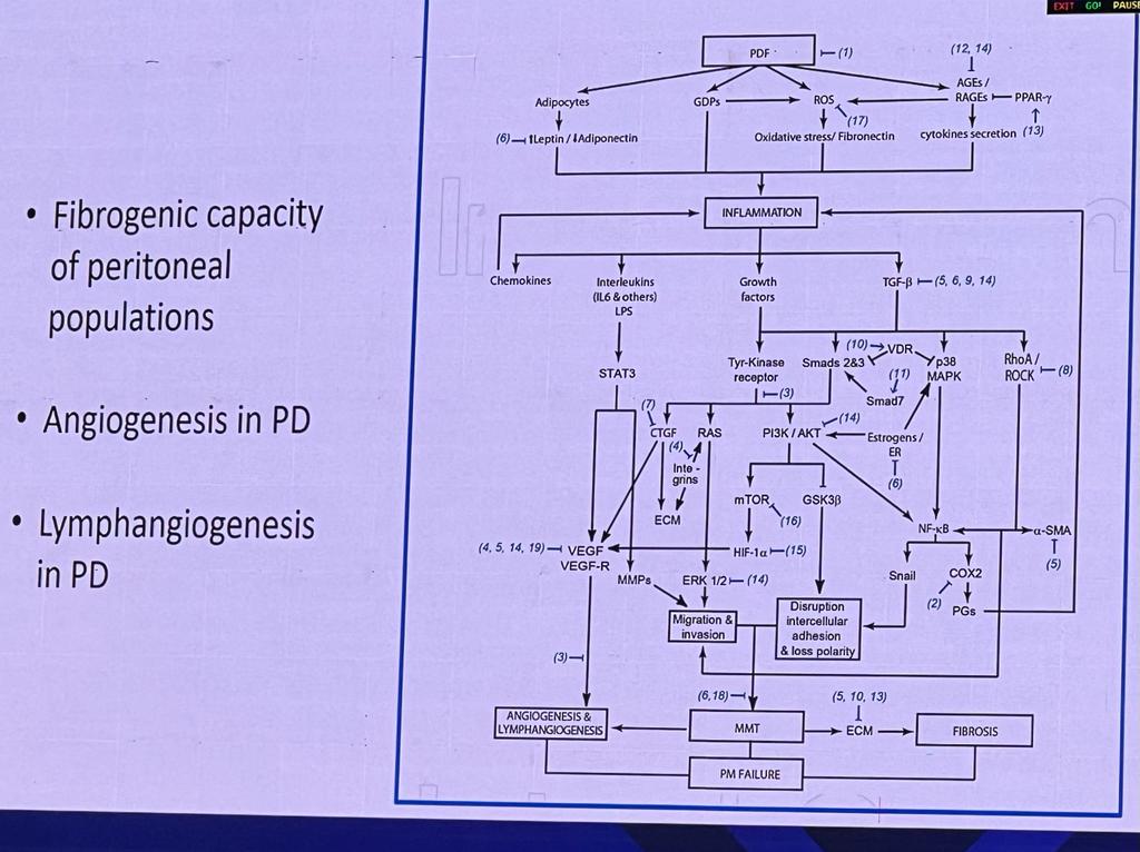 nyiminhan's tweet photo. 8/10
🔆 Inflammation and its consequences are also contributed in PD membrane failure #ispd23 https://t.co/v1wpcKWva1