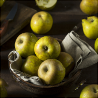 The Spirit Of One tweet media