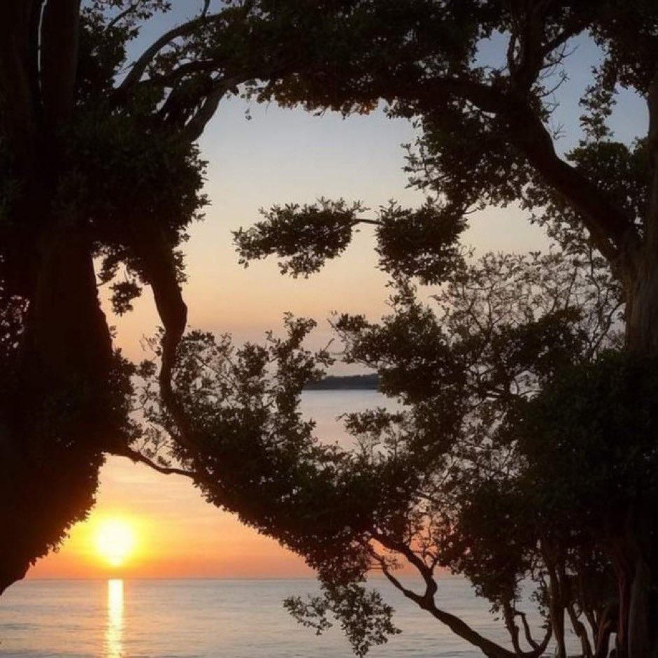 Qisqa shortilarda yalangoch qizlar