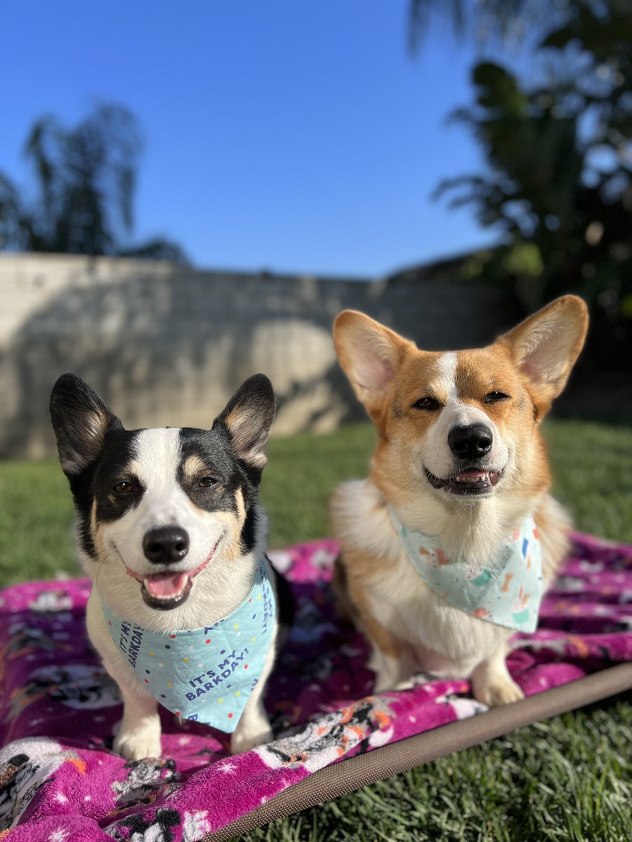 Photo day for the boys✨🧁🎉