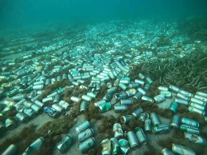 InformaCosmos's tweet photo. Fondo marino en la costa de Bacuranao, en La Habana, Cuba. Son cientos o miles de latas de bebidas lanzadas por los turistas.

Créditos: Leo Koffee. https://t.co/qsyDdHxDhX