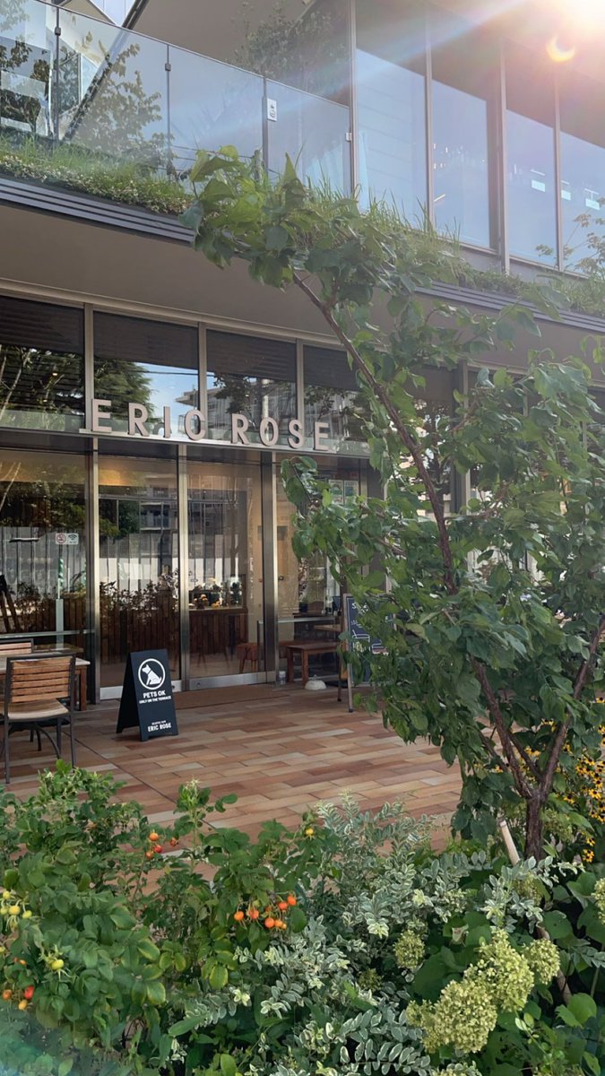 tokyo_students's tweet photo. 【空きコマにおすすめ☕️🍽️】
ERIC ROSE エリック・ローズ
営業時間 9:00〜19:00
青学から徒歩10分程度
表参道駅A3出口より徒歩5分
スタバの創��メンバーが手掛けるカフェの新業態
敷地内に自然があるからテイクアウトしてピクニック気分も味わえた🧺
#青学 #青山学院大学　#表参道　#空きコマ https://t.co/42MAvj0DgA