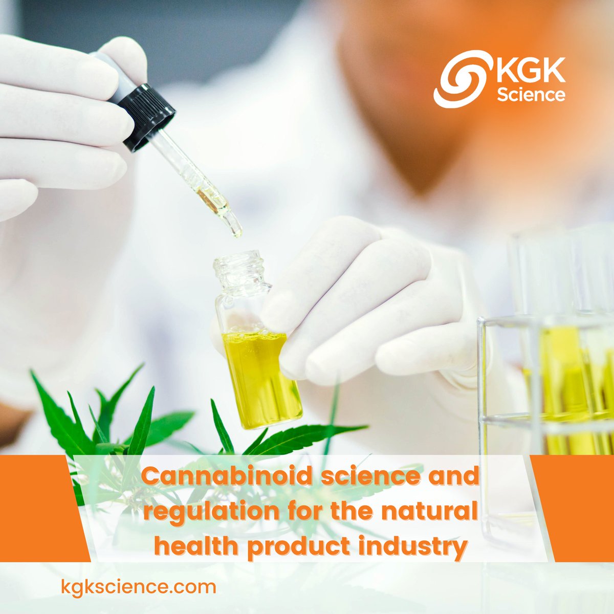 KGK Science tweet media