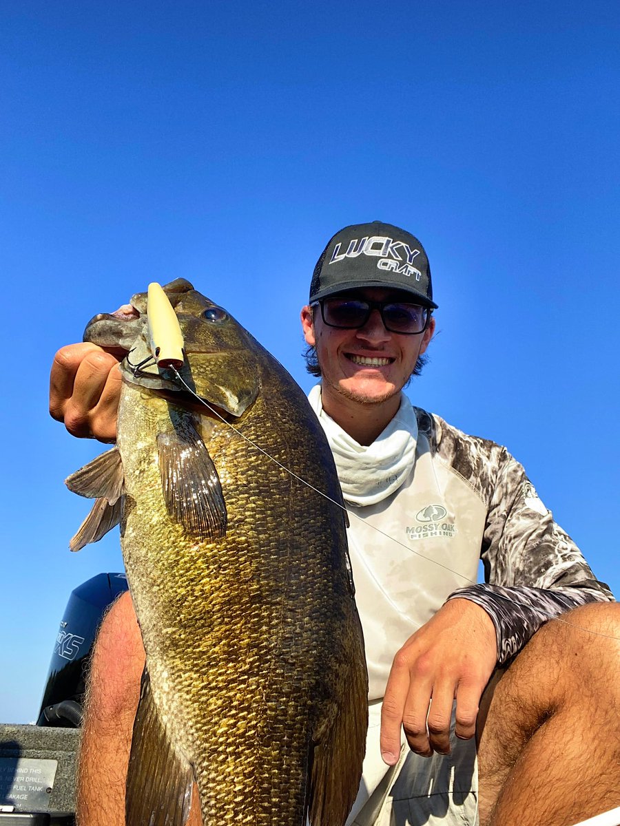 LuckyCraftUSA1's tweet photo. "Topwater fishing on Pickwick is in full swing. The Gunfish 115 NF in Bone Shad is my go to bait right now. Gravel bars with current and grass edges near the channel are great places to catch bass on the move."-Nathan Whitehead -#Gunfish115NF #BoneShad #LuckyCraft https://t.co/8hf9XqBlVu
