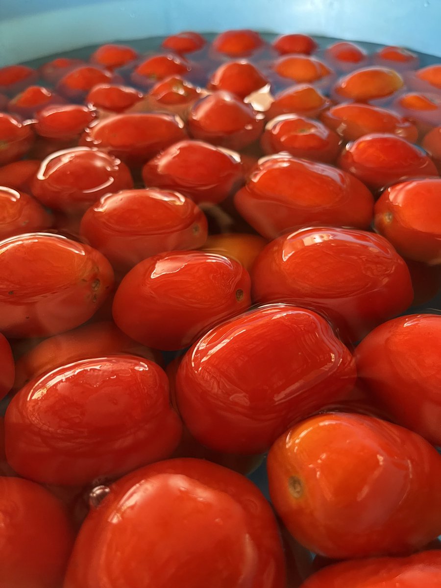 Guess what we are making??
.
#cookery #cookinglesson #cookingclass #chefmichaelsampson #handson #makeityourself #recipe #goodfood #activity #experience #thingstodo #mediterraneandiet #holiday #sicily #Sicilia #Palermo #delicious #salsapronta #tomato #sauce