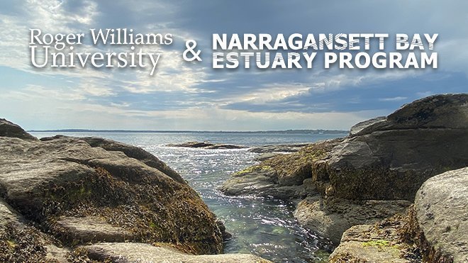 Roger Williams University tweet media